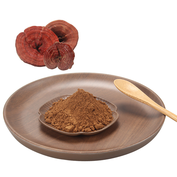 What Makes Our Reishi Mushroom Extract Truly Organic